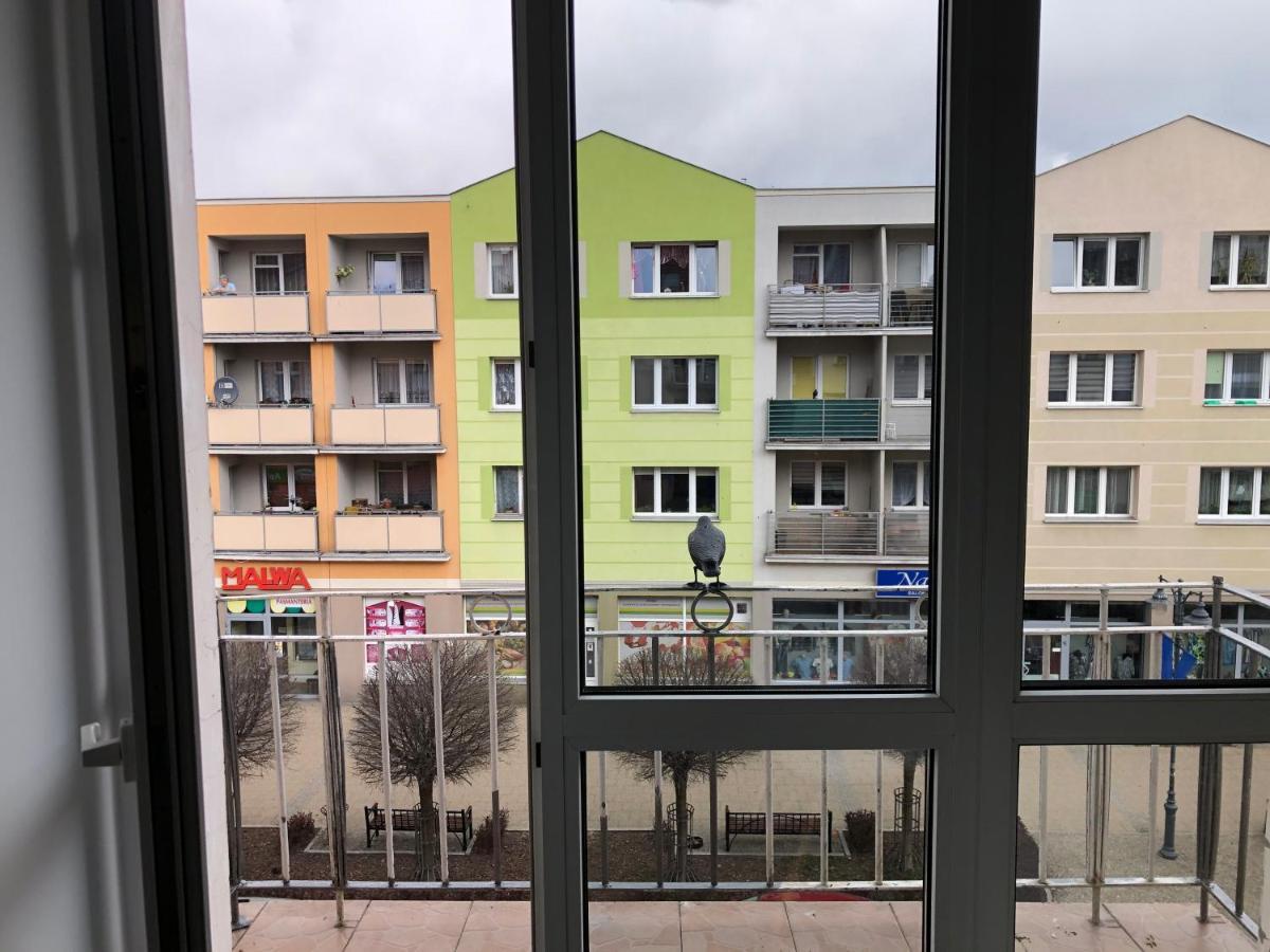 Apartament Kosciuszki Malbork Exterior photo